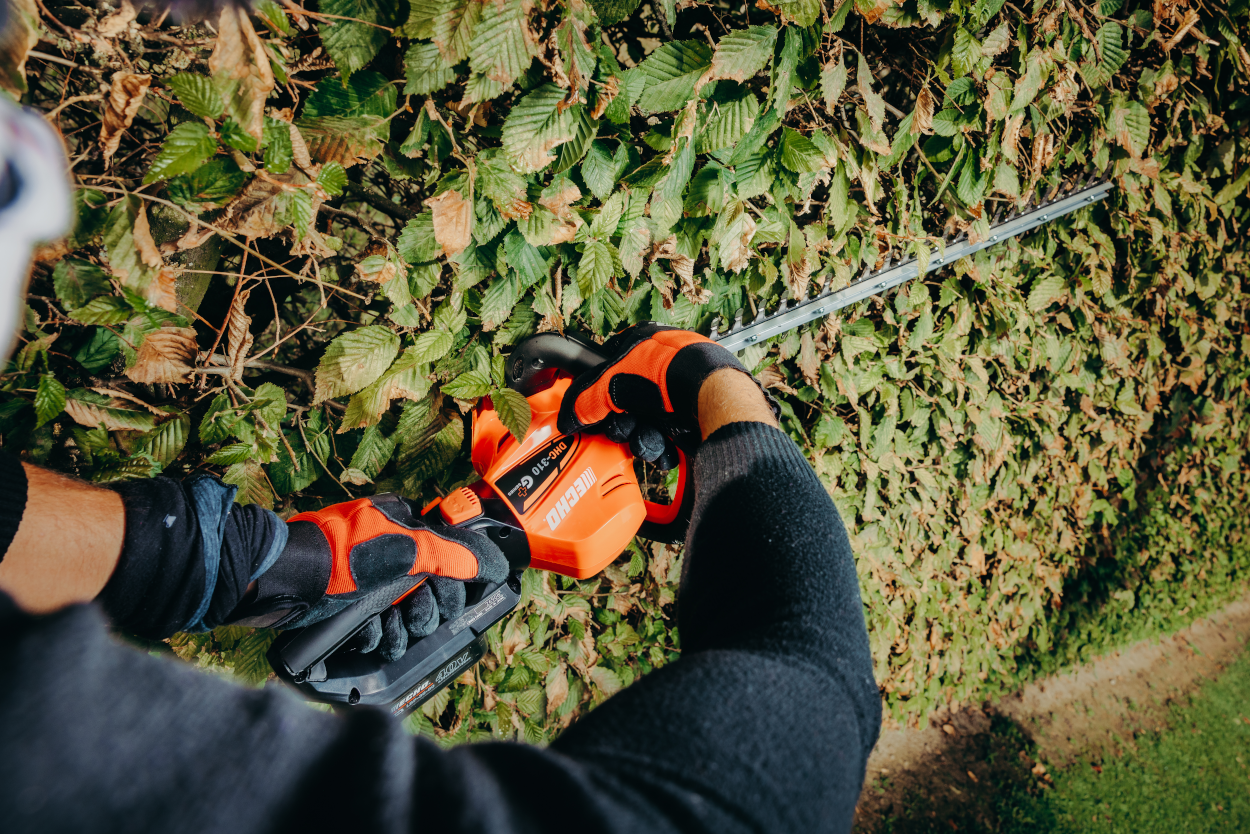 Echo Akku Heckenschere 60 cm, 40 V Einsatzbild