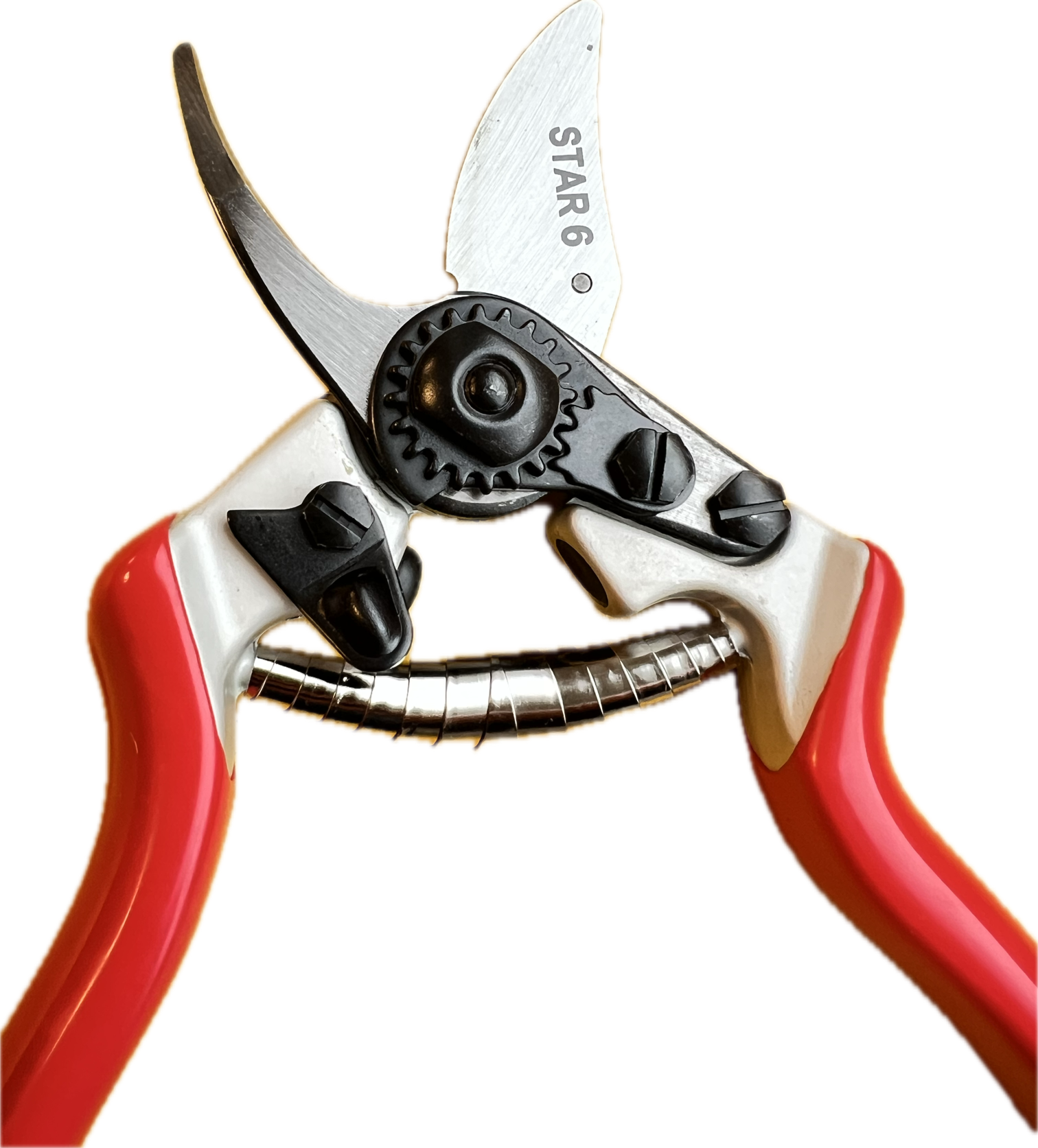 Profi Gartenschere Star 6