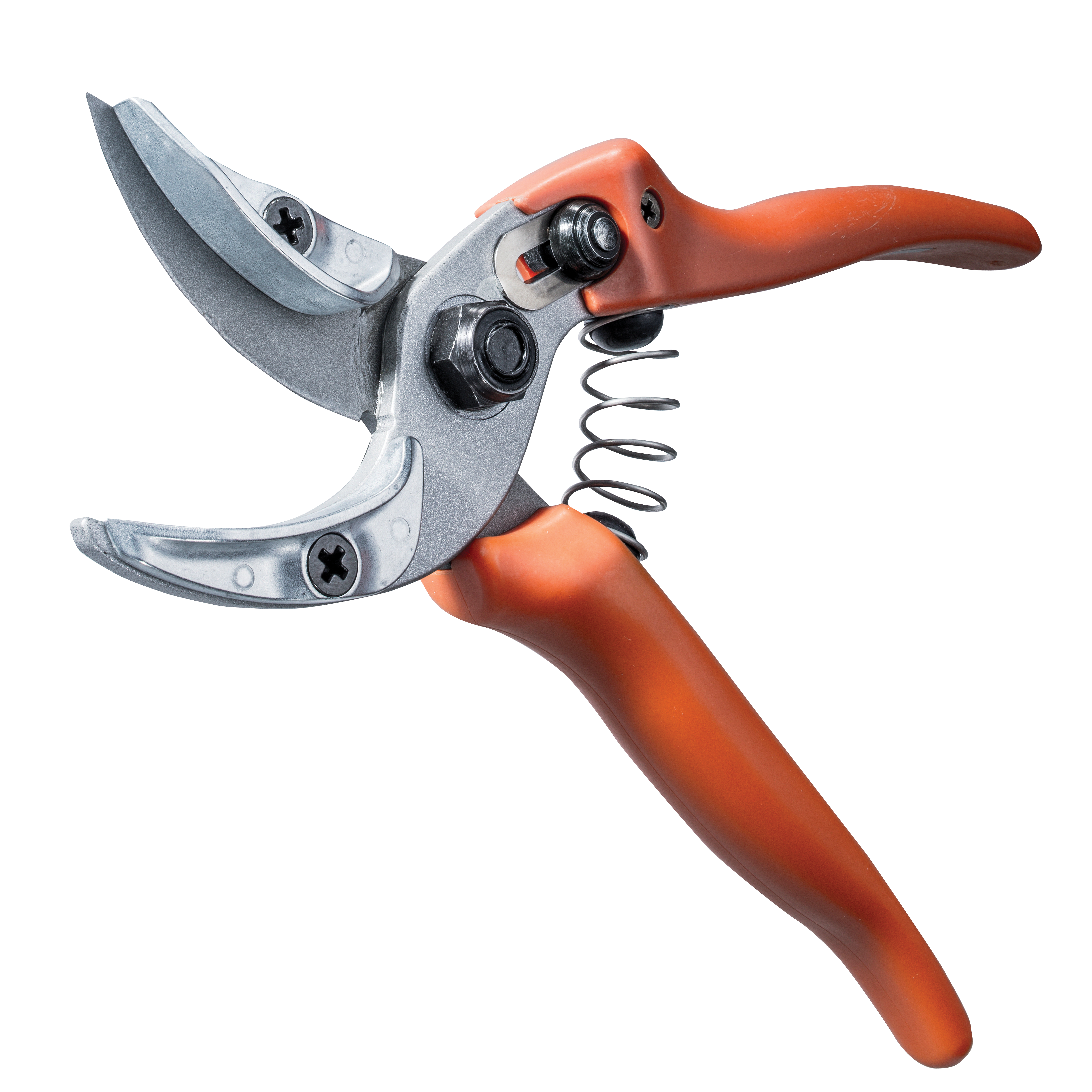 Gartenschere Loewe Nr. 16 Rosenpraesentierschere