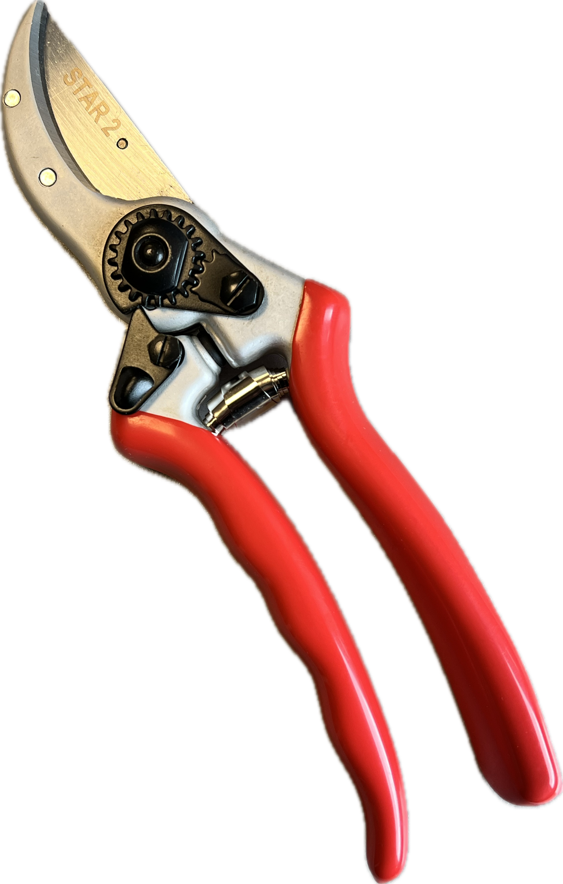 Profi Gartenschere Star 2