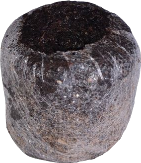 Jiffy Torfquelltöpfe aufgequollen