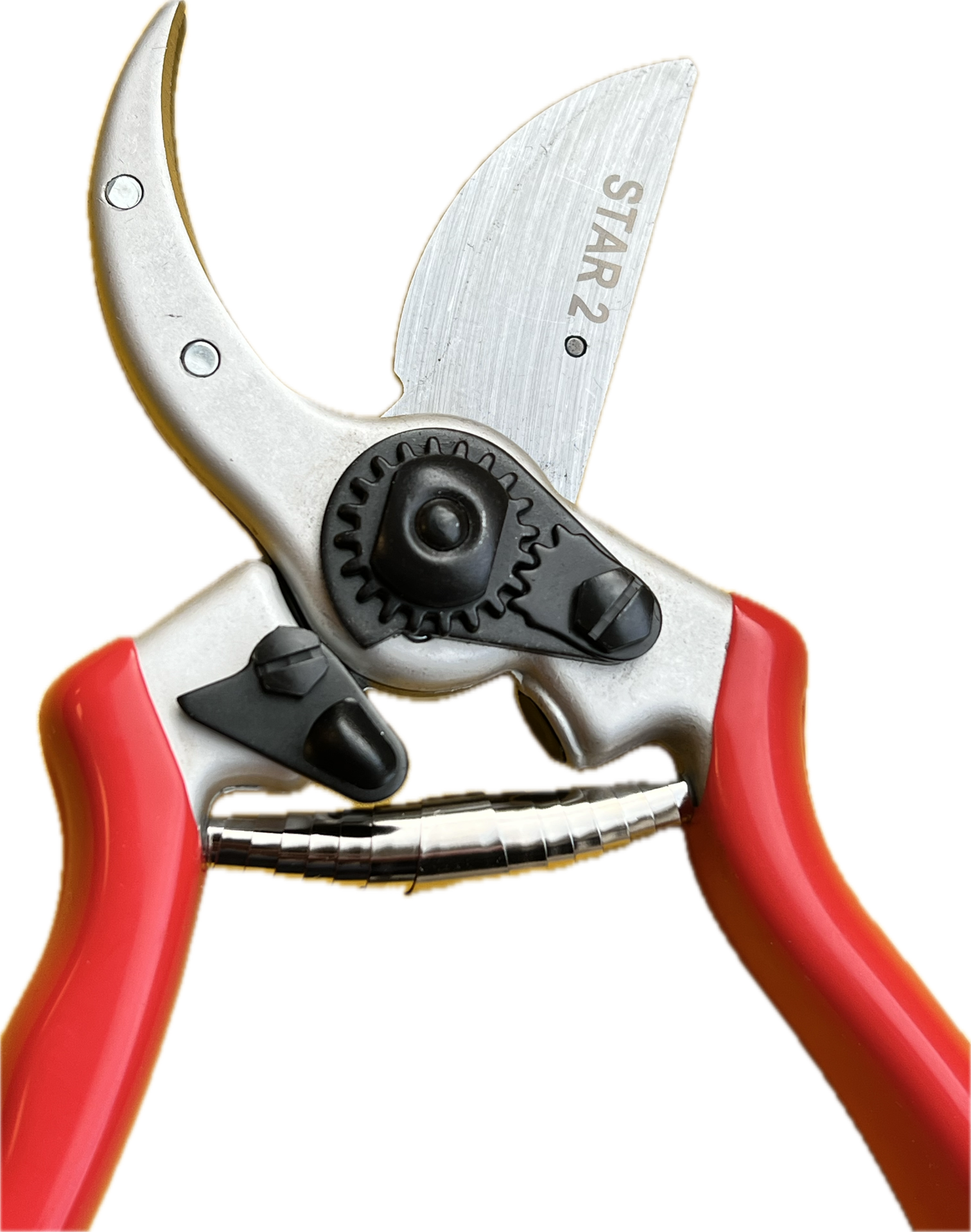 Profi Gartenschere Star 2