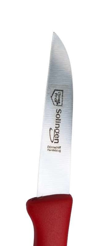 Küchenmesser Rostfrei
