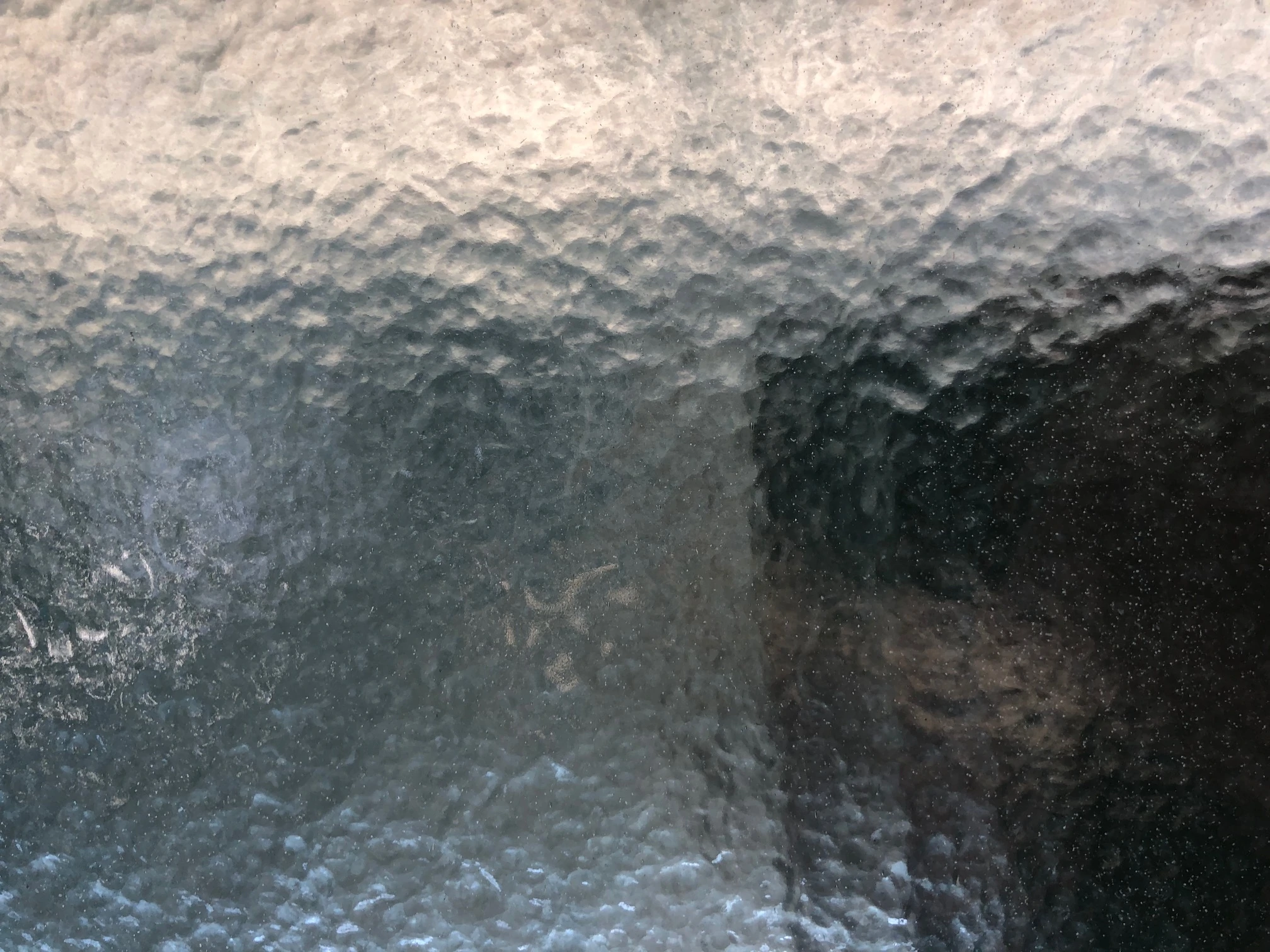 Genörpeltes Gartenglas zum Bau oder Austausch für Gewächshäuser