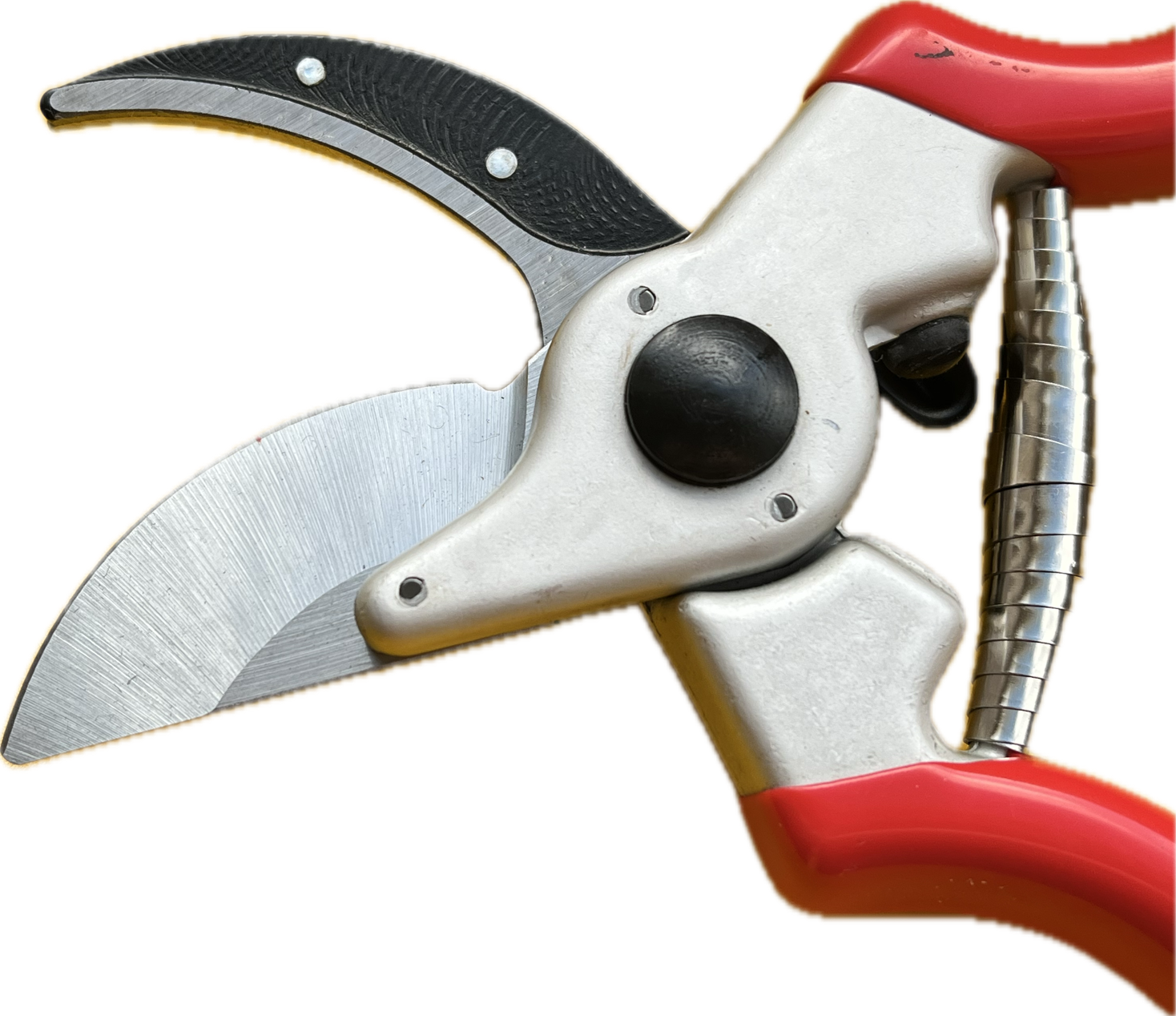 Profi Gartenschere Star 2