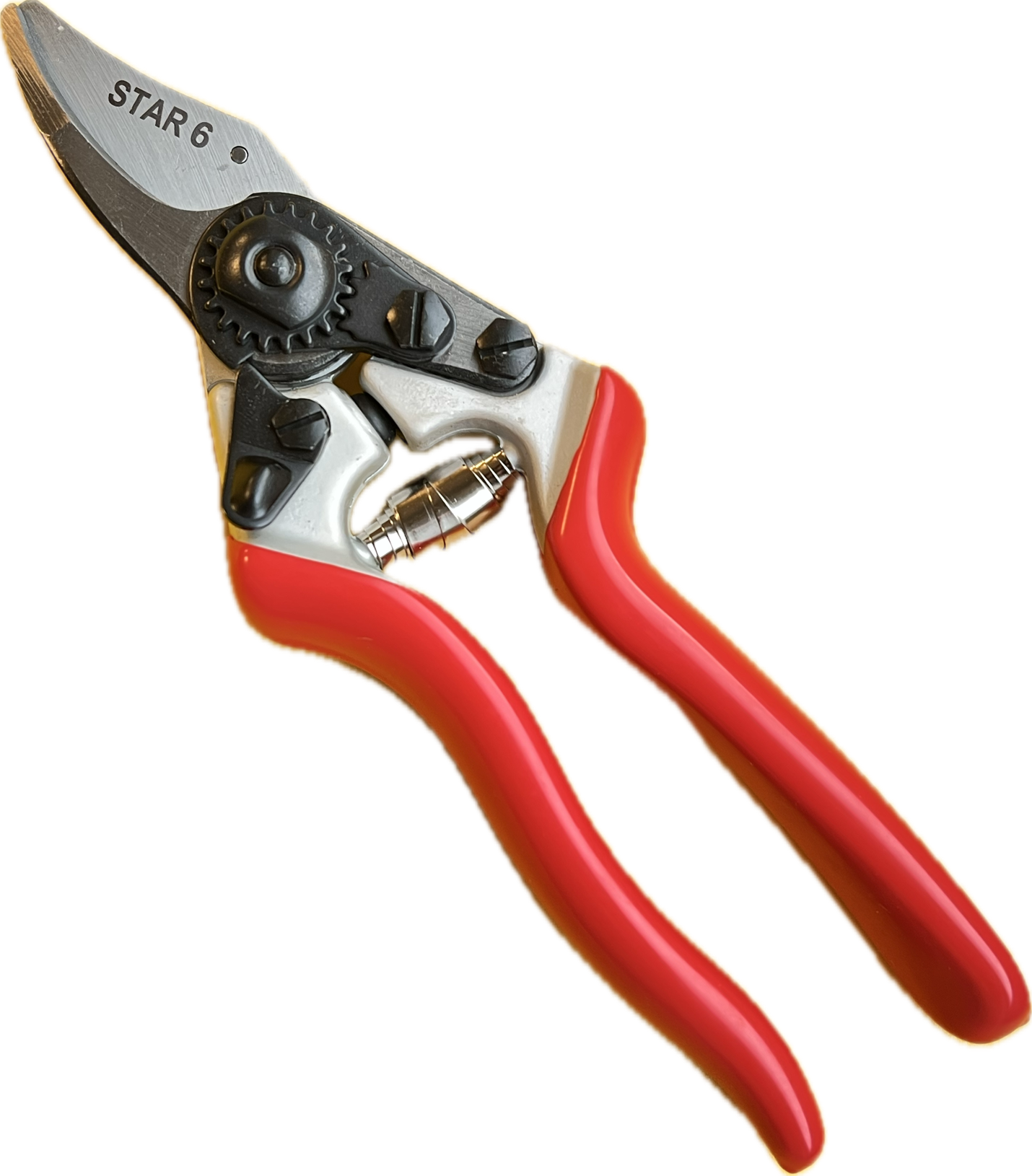 Profi Gartenschere Star 6