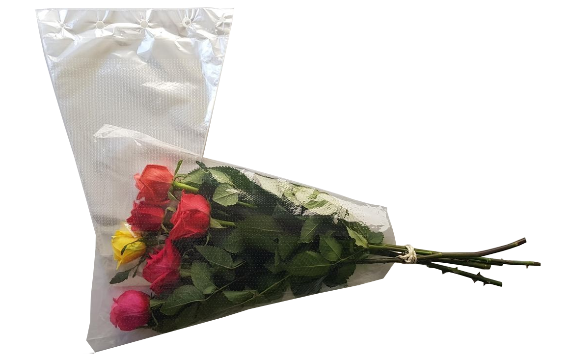 Blumentüten Hot Needl