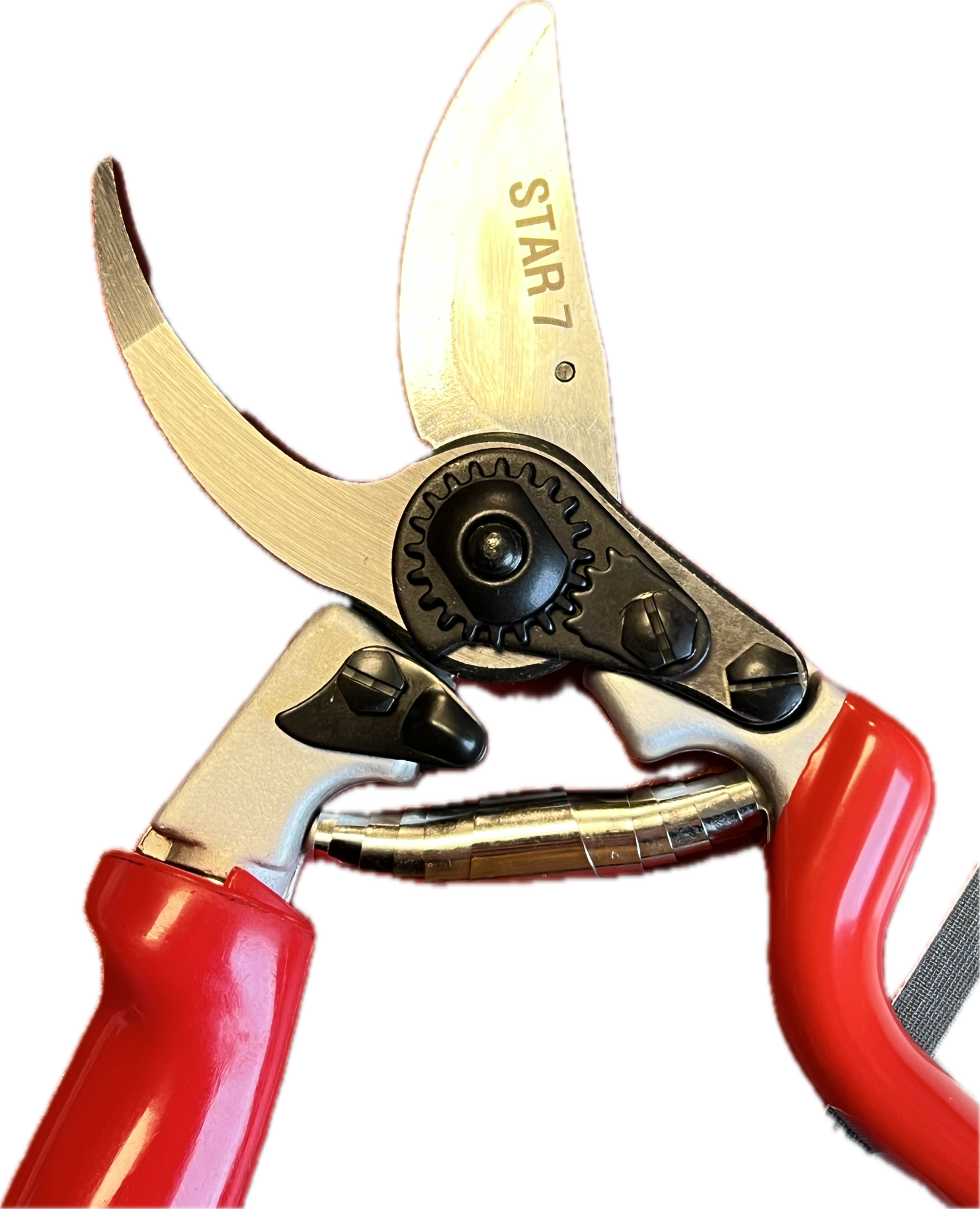 Profi Gartenschere Star 7