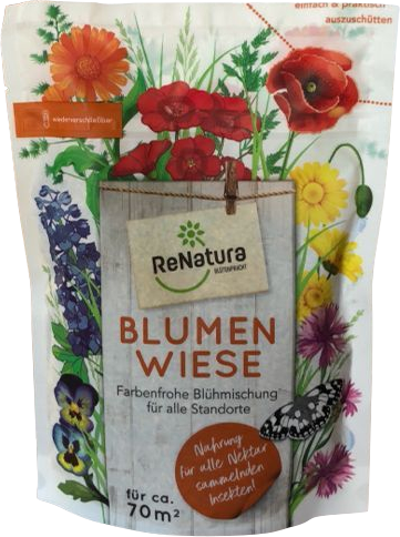 Wildblumenwiese