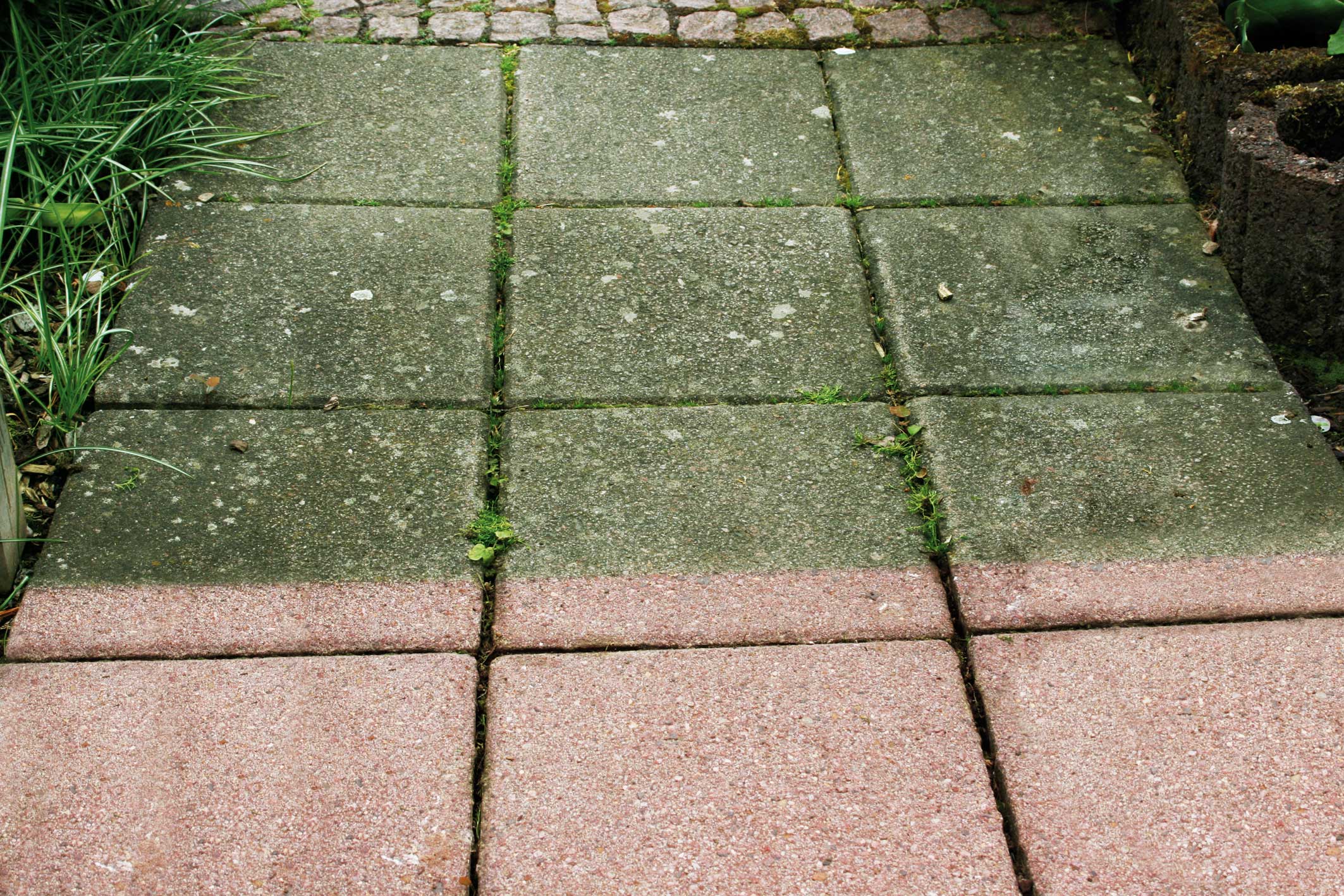 Grünbelagentferner Hotrega Einatzbild