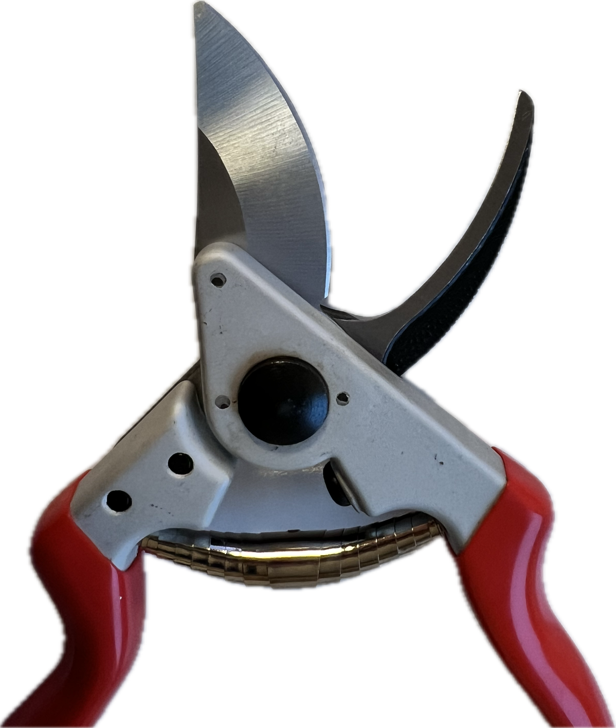 Profi Gartenschere Star 8