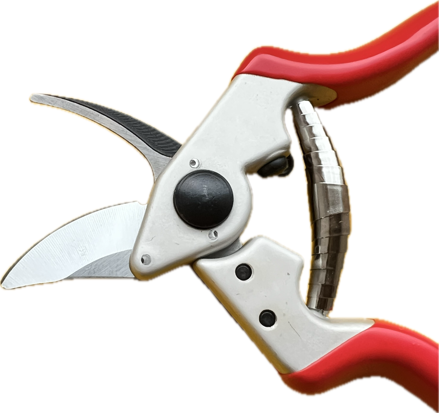 Profi Gartenschere Star 6