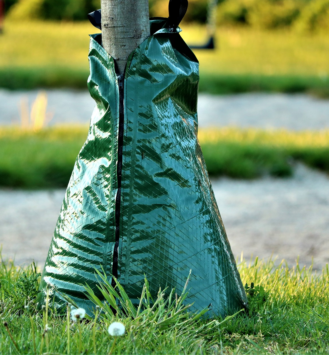 Bewaesserungssack / Aquadrop Einsatzbild