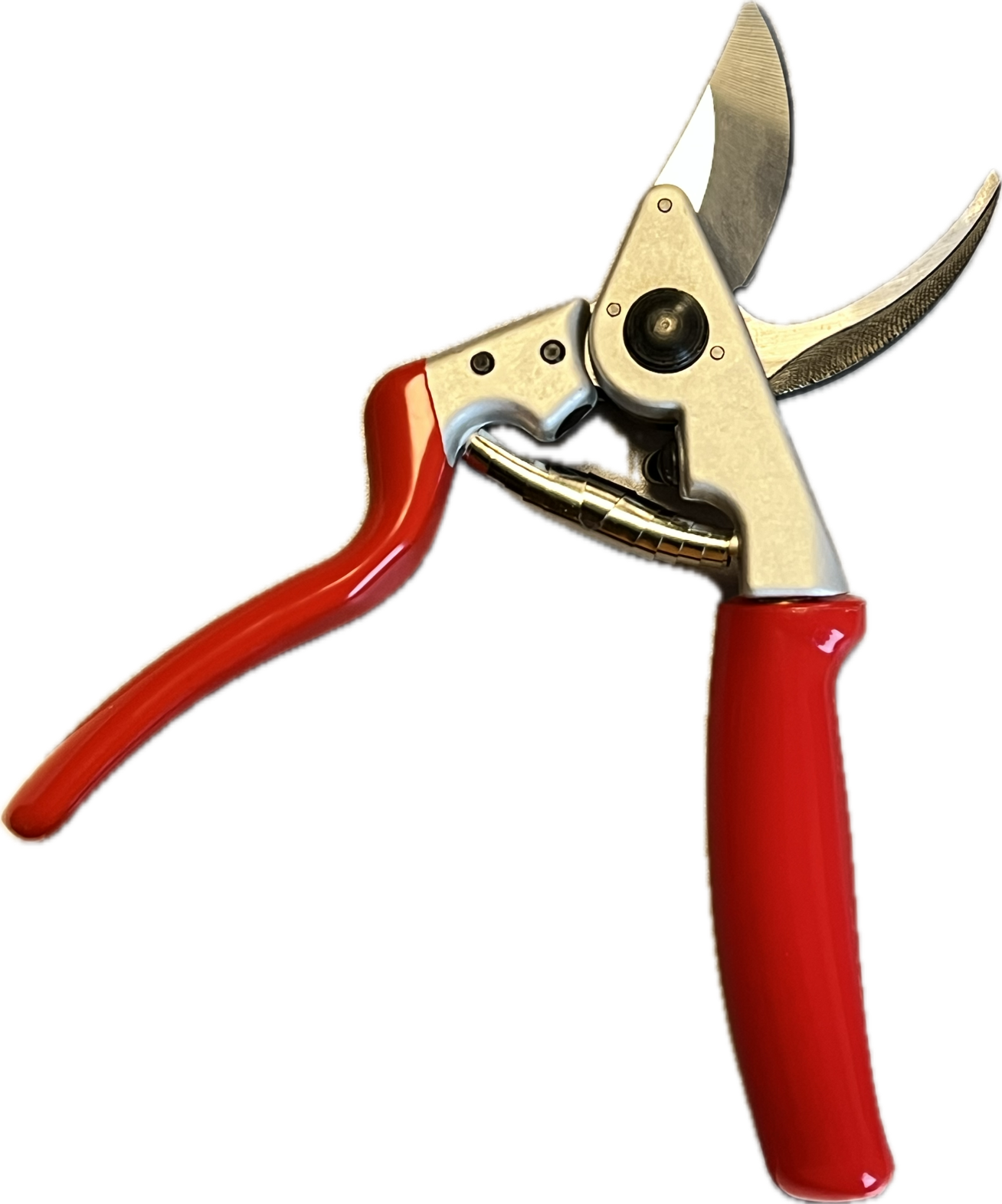 Profi Gartenschere Star 7