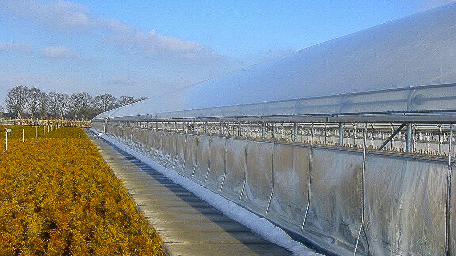 UV Schlauchfolie transparent