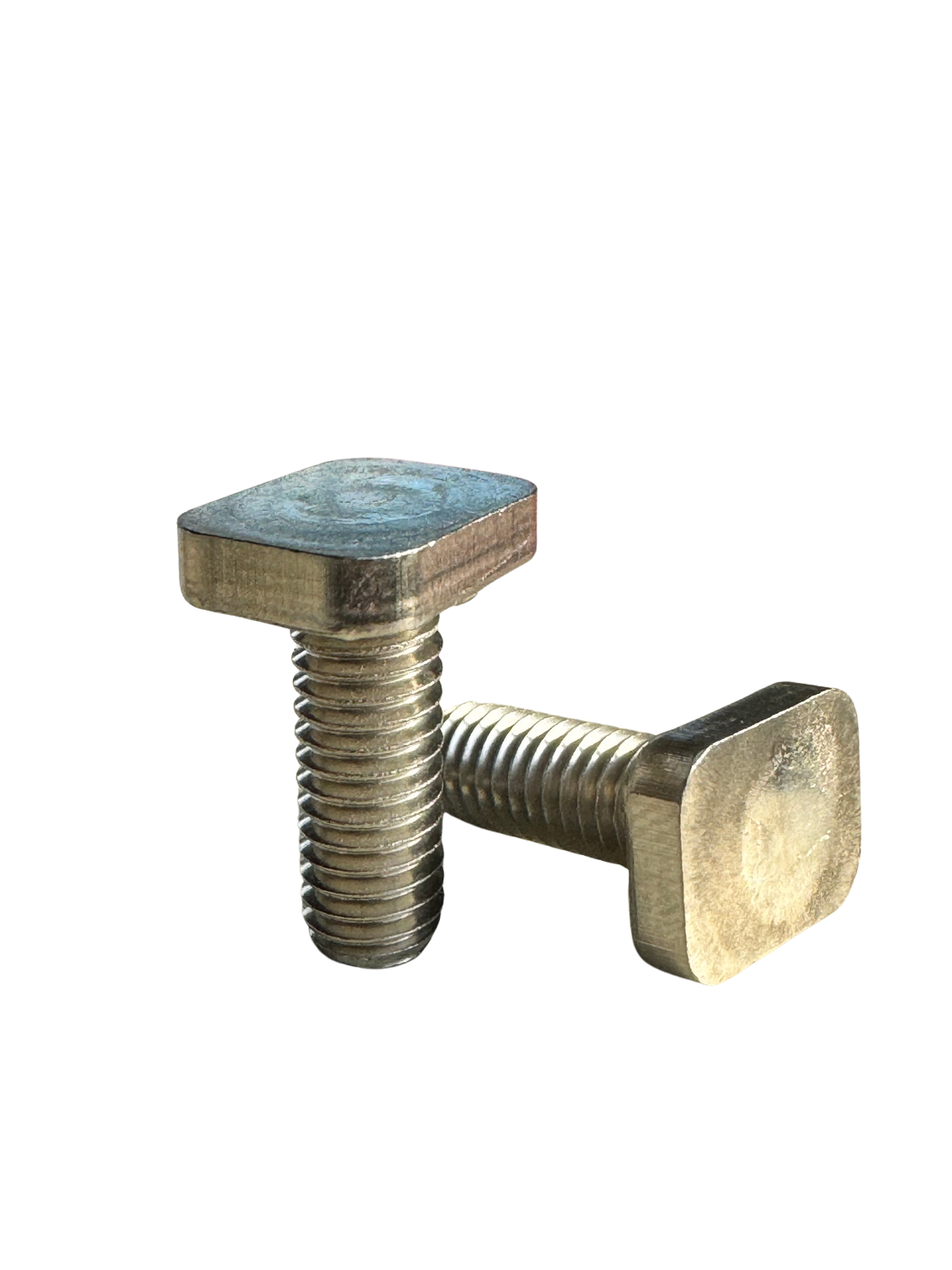Rostfreie Vierkantschraube 6x15 mm aus hochfestem NIRO-Edelstahl für Gewächshäuser.